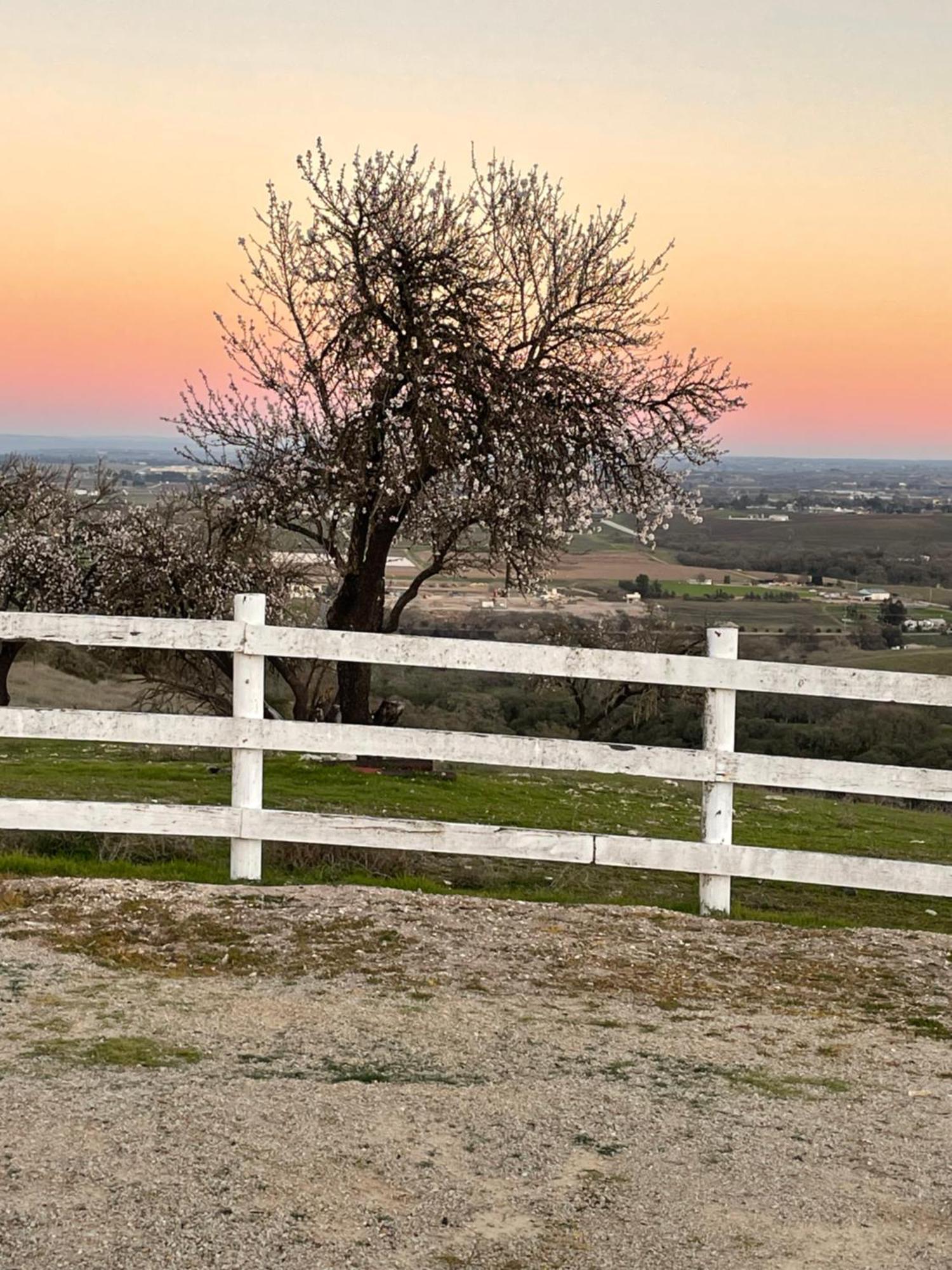 Amazing Views! 6Br Wine Country & Farm Experience! Villa Paso Robles Exterior photo