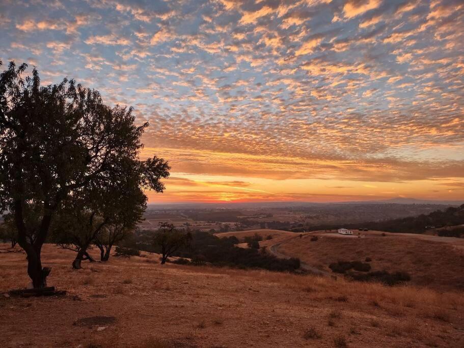 Amazing Views! 6Br Wine Country & Farm Experience! Villa Paso Robles Exterior photo